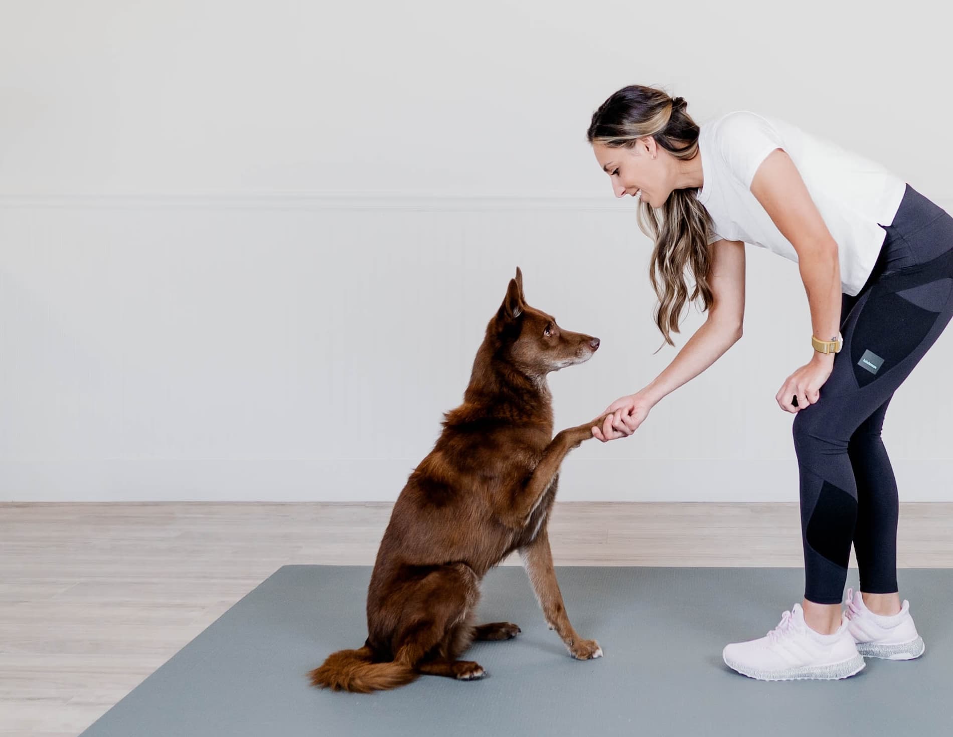 Natasha coaching a dog — private sessions available